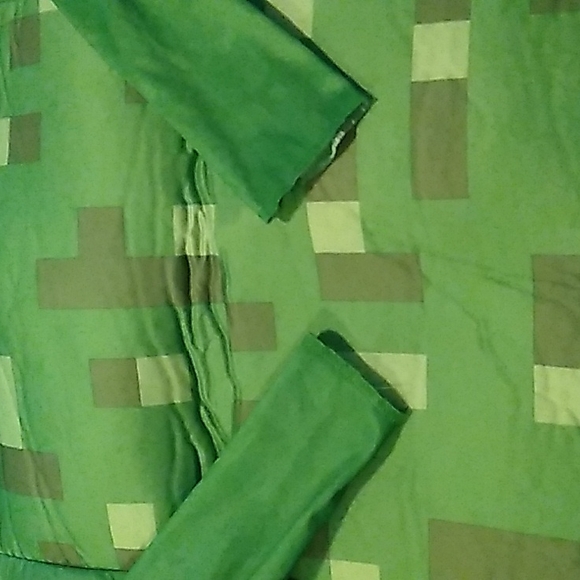 Mine craft costume - Picture 7 of 7